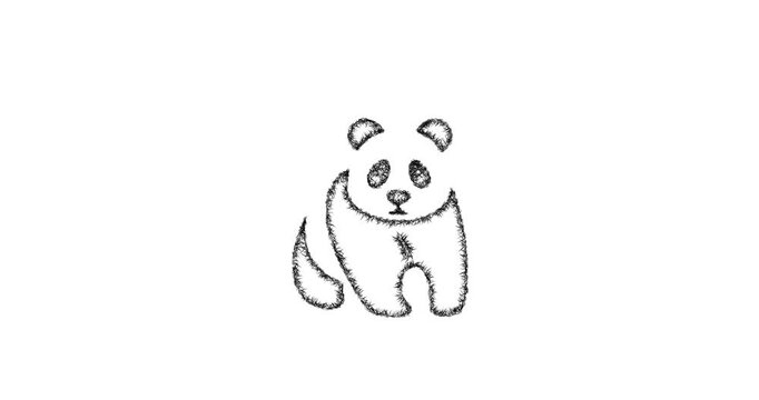 Sketch panda icon animation - smooth progressive reveal