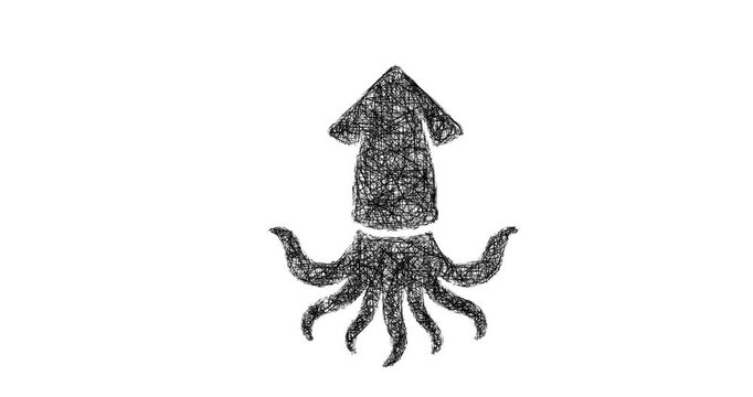 Sketch squid icon animation - smooth progressive reveal