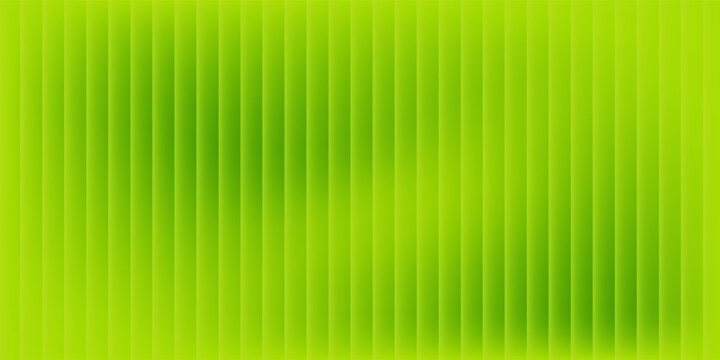 green gradient background abstract blurry fresh green background