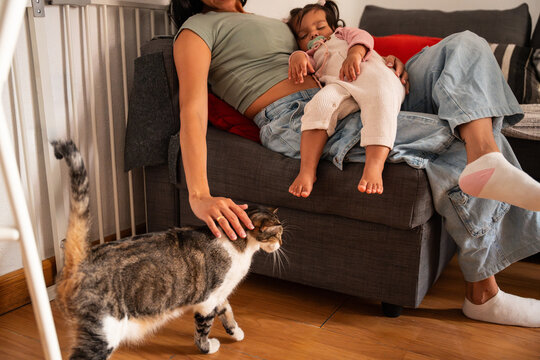 Latin mother pets a cat and baby daughter relaxing on sofa