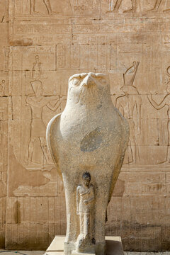 Falcon statue inside Edfu Temple in Egypt