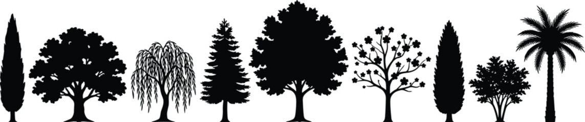 Diverse collection of black tree silhouettes against a white background, including cypress, oak, willow, pine, flowering tree, and palm © MdObaidul