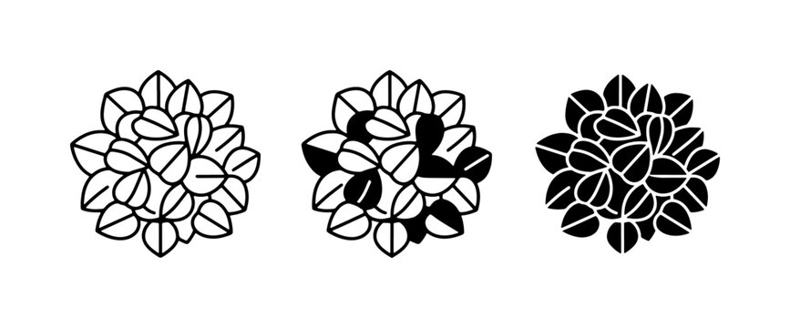 Succulent Plant Icons, Botanical Vector Graphics, Organic Leaf Designs, Minimalist Nature Elements