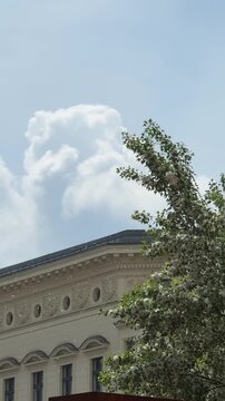 Floating cotton seed falling past an ornate historical building facade and green foliage against a bright blue sky, creating a seasonal natural phenomenon during springtime.