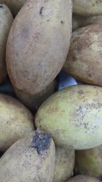 Close-up of fresh raw sapodilla fruits with textured brown skin at a local traditional market