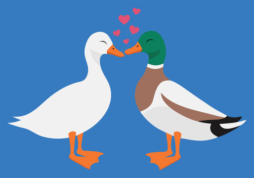 Two cute white ducks facing each other with a pink heart floating between them on a solid light blue background representing love and peace.
