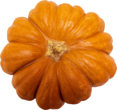 Ripe pumpkin, fully matured yellow-orange pumpkin, top view, isolated on transparent background, PNG