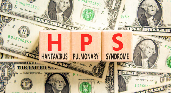HPS hantavirus pulmonary syndrome symbol. Concept words HPS hantavirus pulmonary syndrome on beautiful wooden blocks. Beautiful dollar bills background. Medical HPS Hantavirus concept. Copy space.
