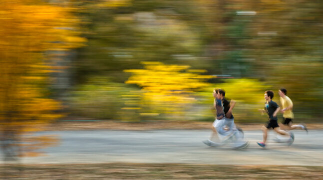 People jogging on a trail during autumn, capturing an active outdoor lifestyle and health concept in Central Park, Manhattan, New York City, USA.