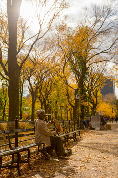 Senior saxophonist playing music on a park bench amidst autumn foliage, capturing an urban lifestyle and cultural experience in Central Park, Manhattan, New York City, USA.