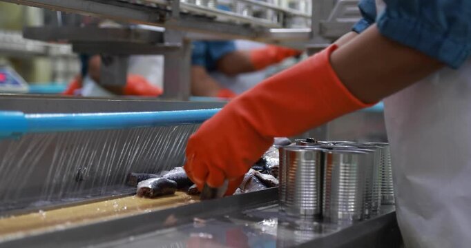 Food manufacturing industry. Worker working in canned food factory. Food industry. Canned fish factory. Worker's hand holding sardine to cutting head. Worker in food processing production line.
