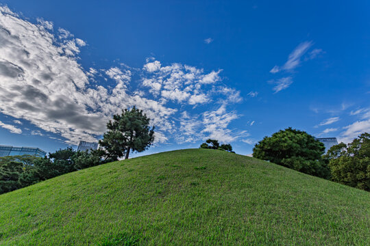 Beautiful grassy hill and wide blue sky at Hamarikyu Gardens October 2023