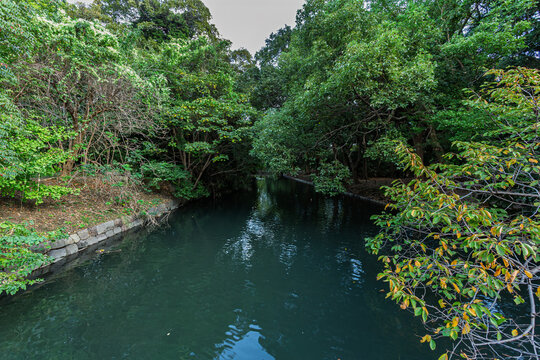Quiet moat surrounded by lush green trees at Hamarikyu Gardens October 2023