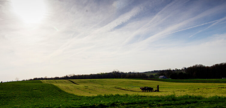 Amish Horse Driven Plow, Tilling a Field in Spring, Holmes County, Ohio