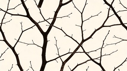 Obraz premium Bare Tree Branches Against Bright Sky