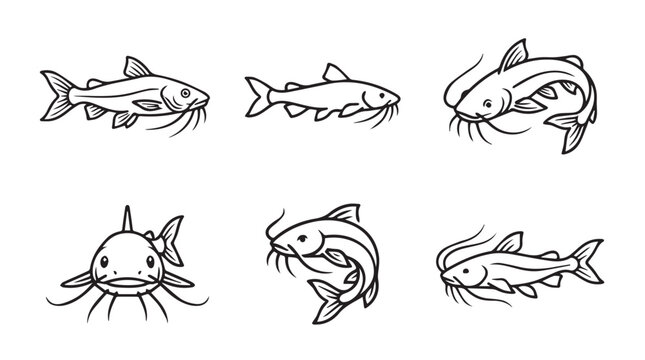 Hand drawn set of catfish illustrations showing swimming and profile poses in black lines with wildlife freshwater creature swimming illustration isolated whiskers collection underwater