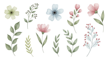 Watercolor Floral Elements: Flowers and Leaves Isolated on White © Ahda