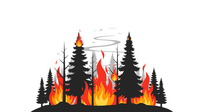 Wildfire Forest Fire Burning Trees Flames Smoke Nature Disaster