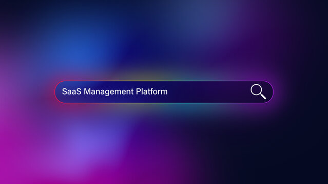 SaaS Website Logo Animation Presentation Template