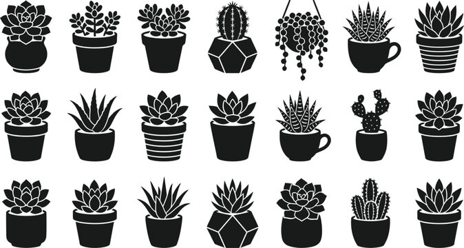 Collection of succulent plants and cacti in various pots and planters isolated on transparent background.