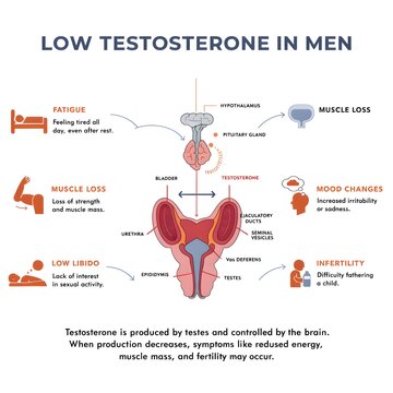 Infographic illustrating symptoms and causes of low testosterone in adult males