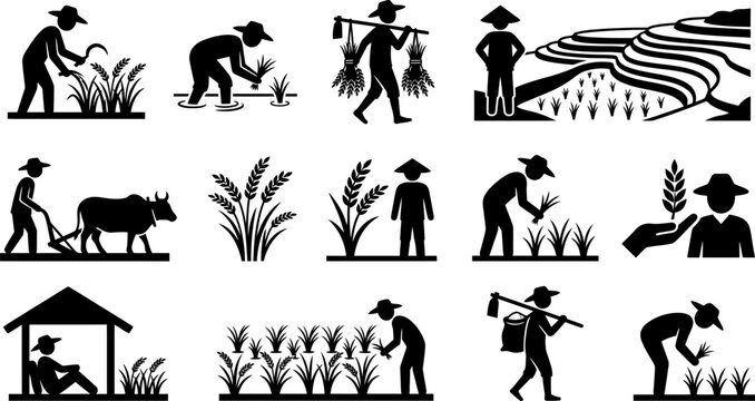 Set of black silhouettes displaying farming activities rice paddy workers plowing fields using oxen traditional equipment and countryside landscape illustration.