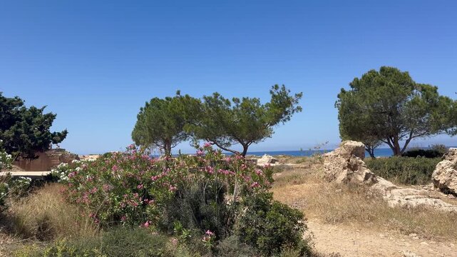 view of the hill and sea in Cypris