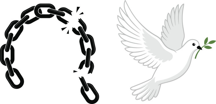 Chains Broken and a White Dove Flying with an Olive Branch, Symbolizing Peace and Freedom