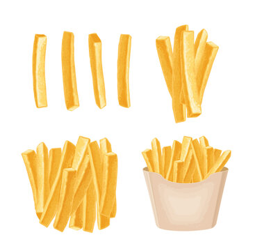French fry stick potato in paper box and single. Vector color realistic illustration. Isolated on white background.