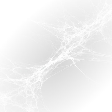 Dark horror spider web frame set with tangled sticky threads design