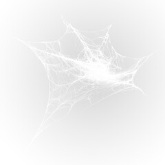 Dark forest spider web trap with horror atmosphere © Galina