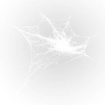 Dark forest spider web trap with horror atmosphere