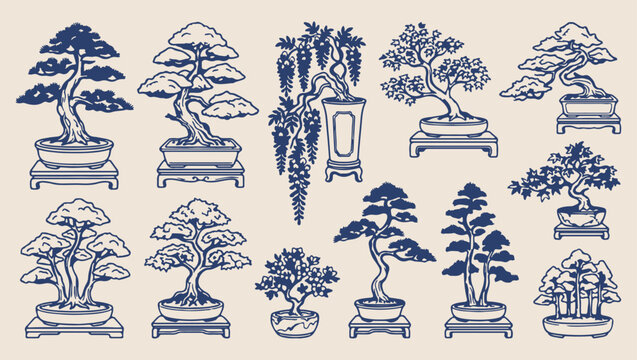 bonsai tree nature plant pattern, traditional bonsai tree nature background, hand drawn bonsai tree illustration, beautiful bonsai tree plant print, traditional bonsai tree sketch set, garden bonsai t