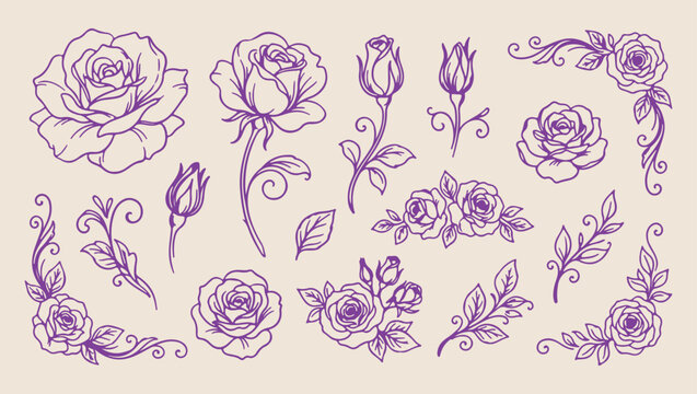 vintage floral rose flower pattern, romantic garden plant nature background, hand drawn floral rose illustration, elegant rose flower plant print, vintage floral rose sketch set, garden rose plant des