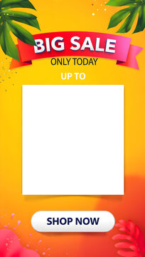 Big sale template displays a clean white central area framed by tropical leaves and a bold red discount ribbon.