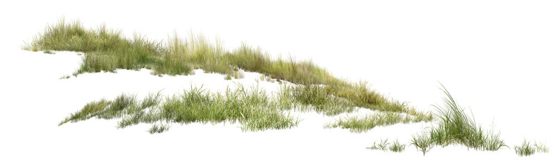 Obraz premium grass/High-resolution isolated green grass tufts on a pure white background. Sharp and detailed cutout field grass element perfectly suited for architectural rendering, landscape design, and photo man