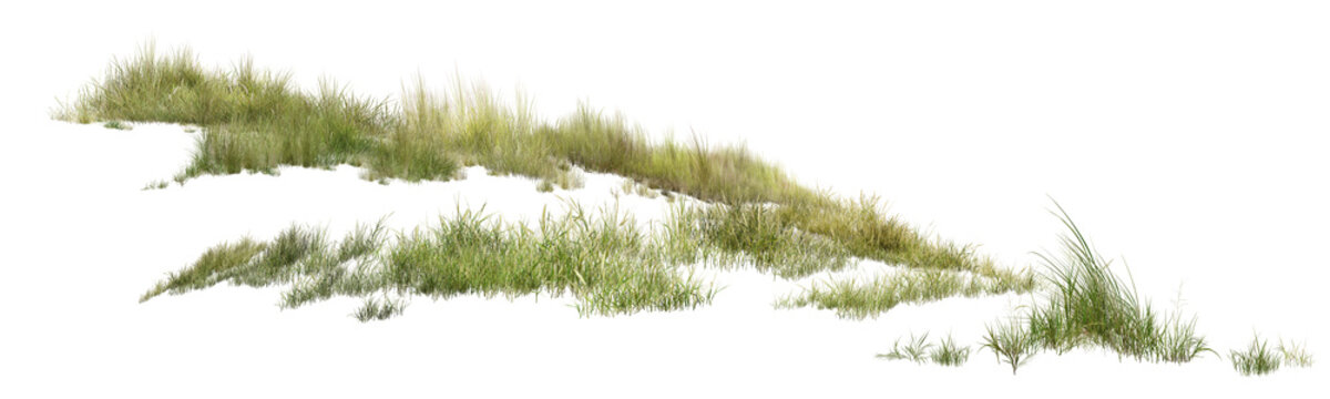 grass/High-resolution isolated green grass tufts on a pure white background. Sharp and detailed cutout field grass element perfectly suited for architectural rendering, landscape design, and photo man
