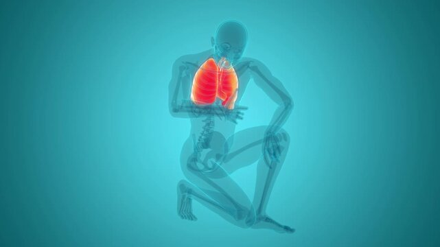 Human Suffering with Chest Pain Anatomy Animation Concept