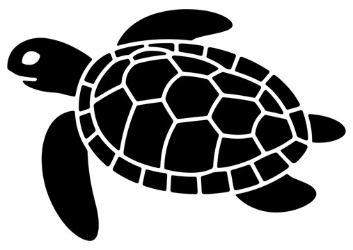 sea turtle marine animal vector icon