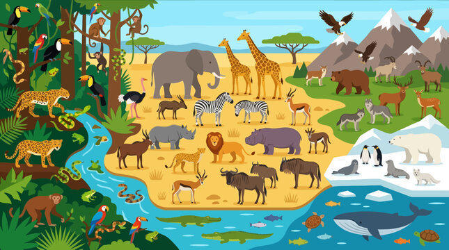 Variety of Wild Animals in Habitat.