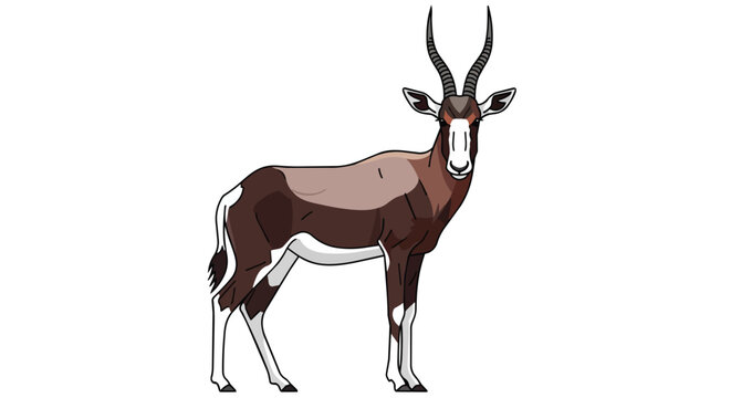 African Blesbok Antelope Standing Wild Animal Illustration Isolated on White