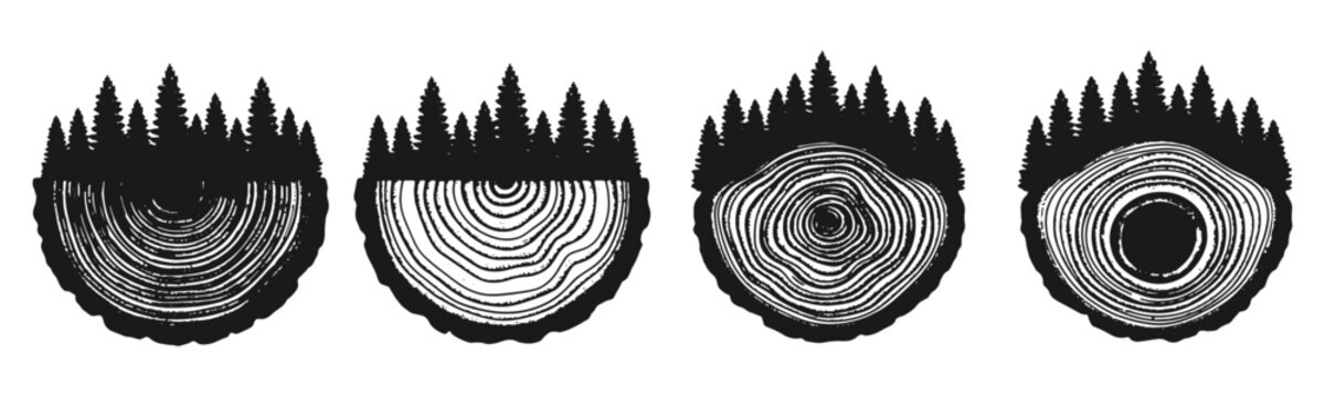 Vector set of wood log cross sections showing tree rings combined with a pine forest tree silhouette pattern
