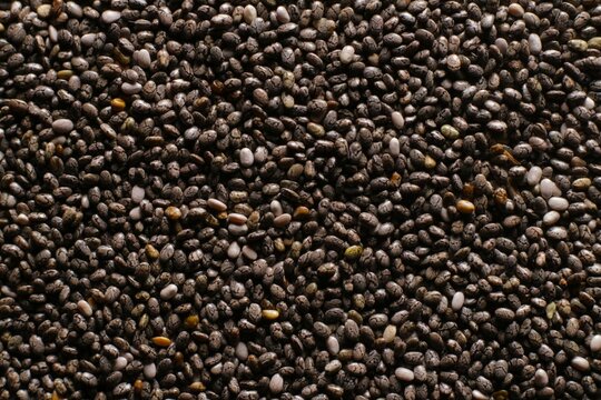 Chia seeds close up studio shot over