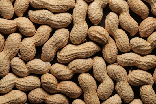 Peanuts with shells close up studio shot over
