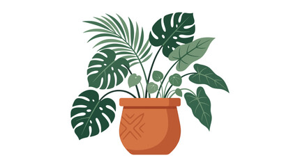 Tropical plants in a pot. © aan