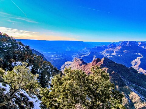 Snow covered trees overlooking Grand Canyon cliffs, Grand Canyon National Park, Arizona, USA - January 2012