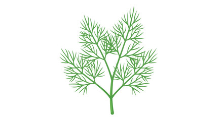 Fototapeta premium Fresh green dill sprig illustration isolated on white background