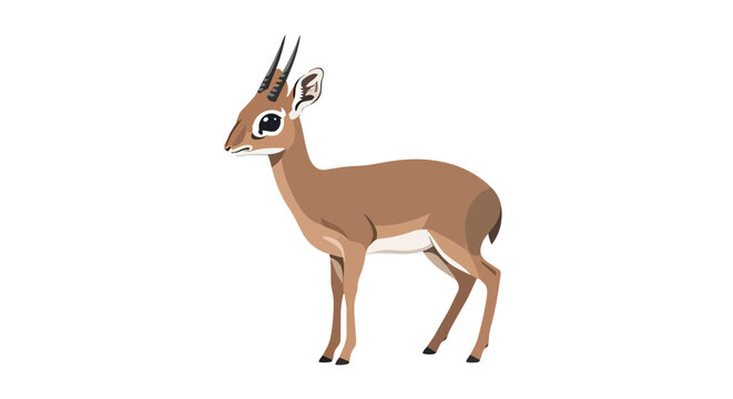 Minimalist Dik-dik Antelope Illustration of an African Wild Animal on White Background