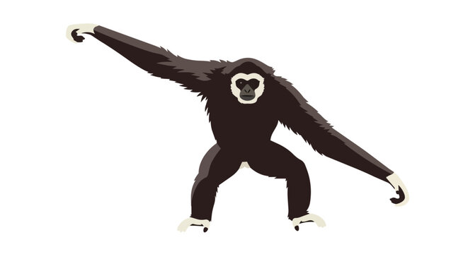 Black Lar Gibbon Monkey with White Hands and Face Illustration Isolated on White Background