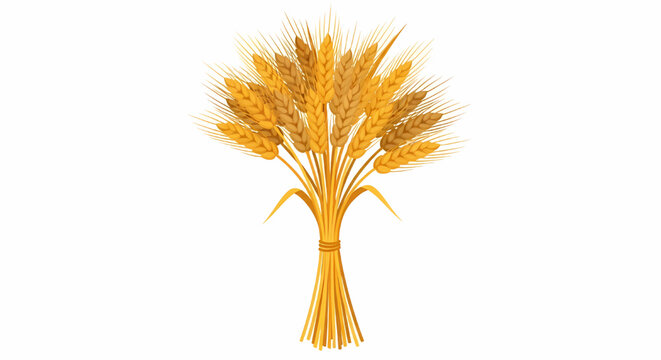 Illustration of a golden wheat sheaf isolated on white background